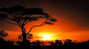 The people are known to be among the tanzania is one of the safest countries in africa and east africa. Nairobi To Zanzibar Serengeti Sunsets In Tanzania Africa G Adventures