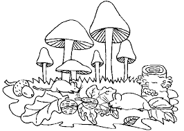 Get marvel coloring pages gif is free hd wallpaper. Coloring Page Mushrooms Coloring Pages 17