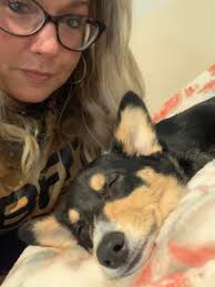 Dog dies from cancer at 13 years old