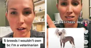 Who is Whitney Terrell? Vet's TikTok advice