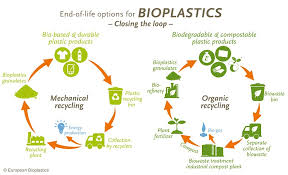 How To Dispose Of Bio Based Plastics Allthings Bio