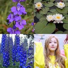 Birthflower Kpop Larkspur Water Lily Delphiniums Eunwoo Of Pristin Birth Flowers Delphinium Larkspur