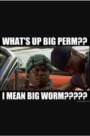 I Love This Meme Saynototheperm Jerrycurl Outinthe80 S Allaboutthenaturalcurls Bigperm Bigworm Permed Hairstyles Kat Williams Big Perm
