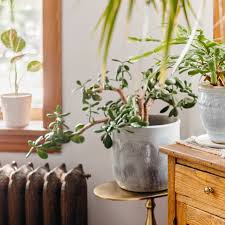 We did not find results for: Use A Pool Noodle For Drainage In A Plant Pot Without Holes Apartment Therapy