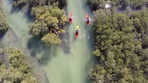 Eastern mangroves hotel & spa by anantara. Take A Kayak Through Abu Dhabi S Eastern Mangroves Abu Dhabi Blog