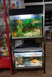 Fish Tanks Stand Final Fast Deal Pet Supplies For Fish Fish Tanks On Carousell