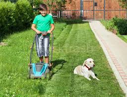 My milkshake brings all the boys to the yard. Boy Pushing A Lawnmower Through The Yard Accompanied By His Do Stock Photo C Lightkeeper 8175816 Stockfresh