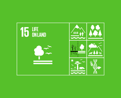 Guidelines for using the official sdg communication material from the un. Resources The Global Goals