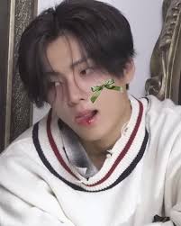 🎀 Enhypen nhưng làm nó c♡quette 🎀 #enhypen #engene #jungwon #heeseung  #jay #jake #sunghoon #sunoo #niki #kpop #enhypenedit #enha #enhypenengene  #engenediary #enhypenlyrics #enhypenfandom #kpopworld #lyricsedit #song  #quotes