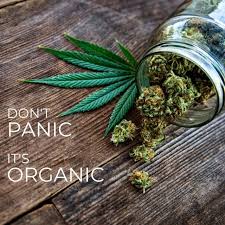 You might be able to fix it easily yourself! Stoner Thought Of The Day Tumblr Posts Tumbral Com