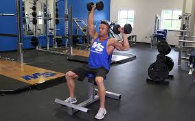 Image result for Dumbbell Seesaw Press workout