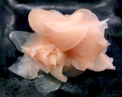 Maybe you would like to learn more about one of these? Red Pickled Ginger Vs Sushi Ginger 100 Pure Japan