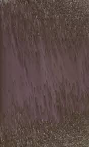 Image result for Nectaropetalum carvalhoi