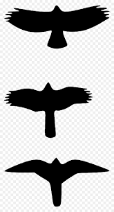 Outline Drawing Silhouette Cartoon Birds Bird Hawk Vs Falcon Wings Hd Png Download Vhv Bird silhouette, flying bird outline, bird, silhouette, beak png. hawk vs falcon wings hd png download