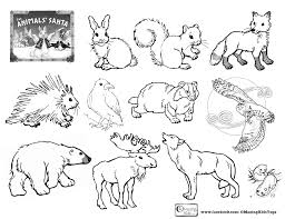 The Animals Santa Click Pic To Open 1 Page Free Coloring Page To Go With The Omazing Kids L Animal Coloring Pages Animal Coloring Books Forest Coloring Book