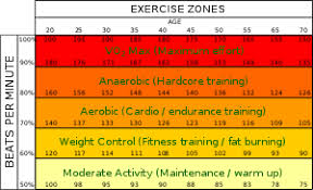 aerobic exercise wikipedia