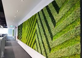 Create privacy or make the most of a small space with vertical gardening. Naturally Preserved Hygro Moss Moss Wall Garden Vertical Green