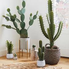 All cacti are succulents, but not all succulents are cacti. 35 Smart Ways To Decorate Your Home With Cactus Plant Decor House Plants Decor Cactus House Plants