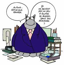 13 idées de Humour | humour, dessin humoristique, drôle