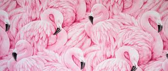 Shop our best selection of outdoor decor to reflect your style and inspire your outdoor space. Pink Flamingos Wallpaper 4k Painting Feathers Beautiful Aesthetic 5k Animals 4924