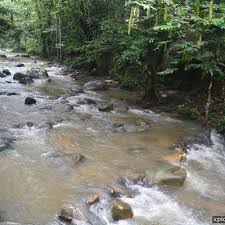 Video, location and details here. Hutan Lipur Sungai Tua Pengalaman Camping Tepi Sungai Di Taman Negeri Selangor