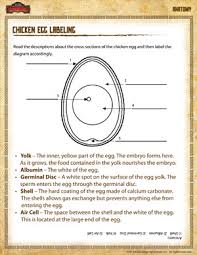 Aggregate salmonella categorization of raw chicken parts, nrte comminuted poultry, young chicken carcass and young turkey carcass establishments using moving windows; Chicken Egg Labeling Science Worksheet For 4th Grade Sod