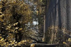 The vibe in södermalm is relaxed and trendy, and it was selected as the coolest neighborhood in europe by vogue magazine. Hd Wallpaper Sweden Stockholm Sofia Kyrka Sodermalm Autumn Winter Wallpaper Flare