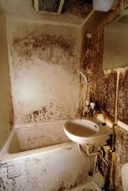 The bath might have been the hero piece of their bathroom, but it was their use of timber that really. Actual Traditional Japanese Bathroom Designed By Very Talented Mr Tanaka Japancirclejerk
