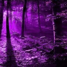 Are you searching for cool purple png images or vector? Pfp De La Hoya By Purple Forrest People Free Download On Toneden