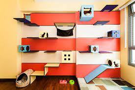 Cat Friendly Home In Singapore From J En C Rand Designs Cat Room Unique Cat Bed Cat Friendly Home