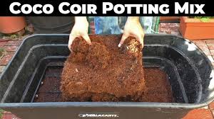 Till the soil to a depth of 6 to 12 inches with a rototiller. Coconut Coir Potting Mix Recipe Coco Coir Compost Perlite Or Vermiculite Youtube