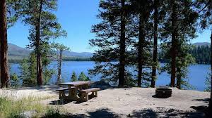 The idaho centennial trail passes nearby and can be accessed from the stanley lake trailhead across the lake. Reserving Idaho Campsites Recreation Gov Books Up Fast Idaho Statesman