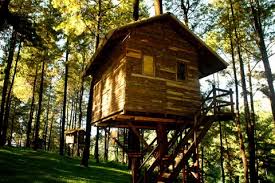 We did not find results for: Indonesia Tourism Forum Where You Can Find Any Information About Indonesia