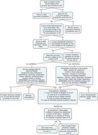 40 Best Civil Procedure Flowcharts Images In 2019 Civil