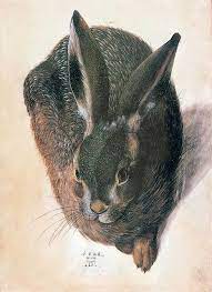 Hans Hoffmann Hare 1528 Watercolor And Gouache On Parchment Albrecht Durer Art Bunny Art