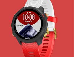 Forerunner 245 Music Japan Limited Edition Garmin Singapore