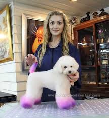 This helps the stylist see your true hair (wavy, straight, etc.) in order to determine the best cut for you. Purchase Dogs Hair Cutting Salon Near Me Up To 78 Off