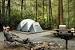 Roan Mountain State Park Fall