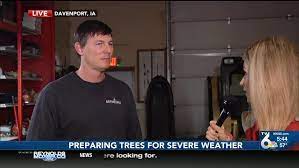 With multiple certified arborists on staff you can have the confidence that your trees are being cared for by the best. Preparing Trees For More Severe Weather In The Months Ahead