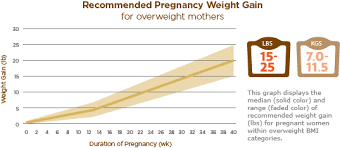 healthy weight gain during pregnancy