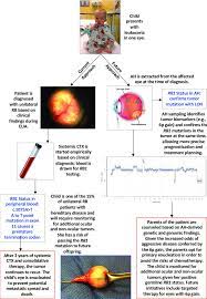 If you find an abbreviation confusing, contact your doctor, nurse or pharmacy. Current And Future Approaches To Retinoblastoma Rb Diagnosis And Download Scientific Diagram