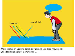 Odamın duvarları sarı boyalı ve ben daha önceki tecrübelerime dayanarak sarı ışık altında renklerin doğru görünmediğini düşünüyorum. Cisimleri Renkli Nasil Goruruz Ppt Indir