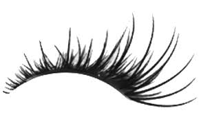 Works for any image with a black background.if you want to turn white into transparent instead, invert. Artificial Lashes Png Image Png Arts