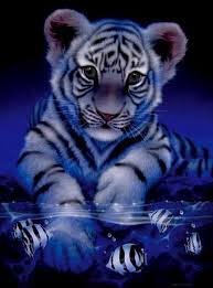 Bebe Tigre Blanc Avec Poissons Dessin Animaux Mignons Animation Animaux Bebe Tigre