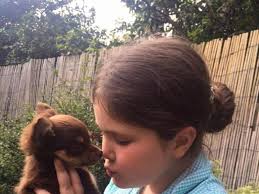 Stolen Puppy Back With Girl, 8