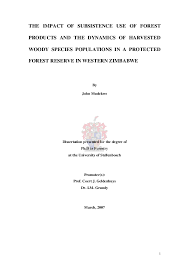 Image result for Pavetta mocambicensis