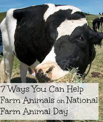 7 Wonderful Ways You Can Help Farm Animals On National Farm Animal Day And Always Pet Day Animals Farm Animals