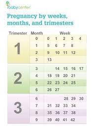 Because the weeks of your pregnancy don't always fit neatly into months, you could be considered 9 months pregnant , or even in your 10 th month. Pin On Pregnancy