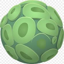 Leaves take in energy via sunlight and capture carbon dioxide from the air. Green Algae Plant Cell Png 1894x1920px Algae Biology Cell Chlorella Game Download Free