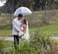 Willow Tree Dome Birdcage Clear Transparent Umbrella
